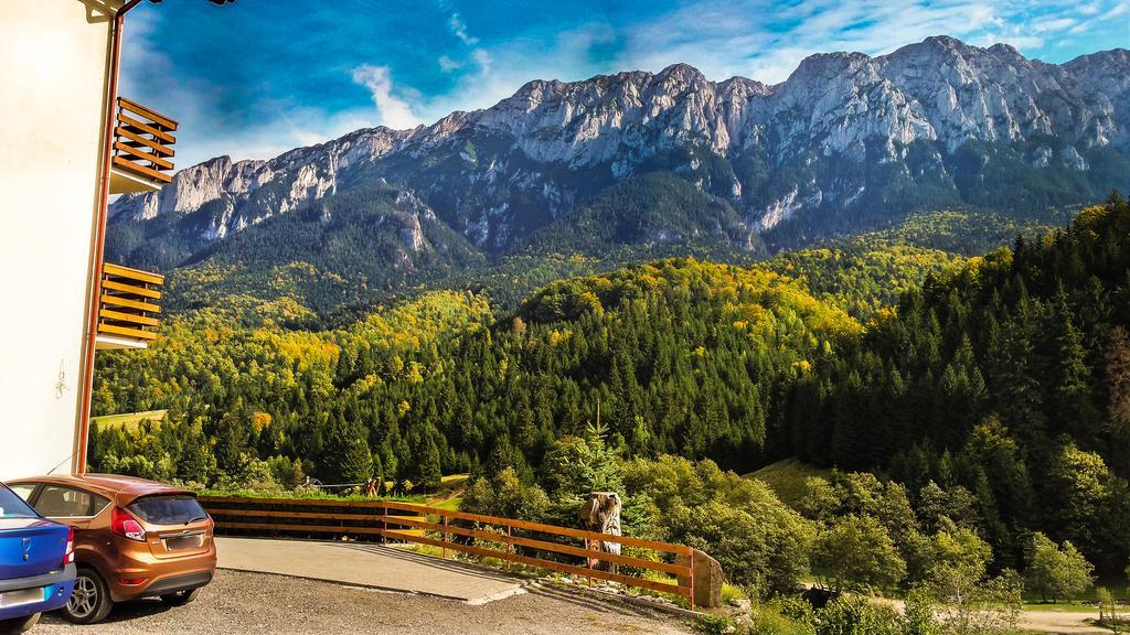 Panorama Pietrei Craiului Hotel Zărneşti Exterior foto